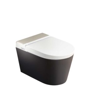 Novosan Hygea äly-WC-istuin, pesevä seinä-WC-istuin, väriyhdistelmä. WC-istuimen värit: matta-antrasiitti.