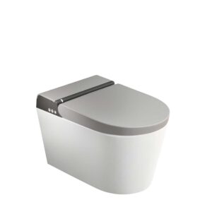 Novosan Hygea äly-WC-istuin, pesevä seinä-WC-istuin, väriyhdistelmä. WC-istuimen värit: mattavalkoinen, harmaa, antrasiitti.