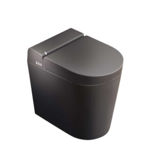 Novosan Hygea Genesis Terra äly-WC-istuin, lattiaan ulottuva design WC, mattaantrasiitti